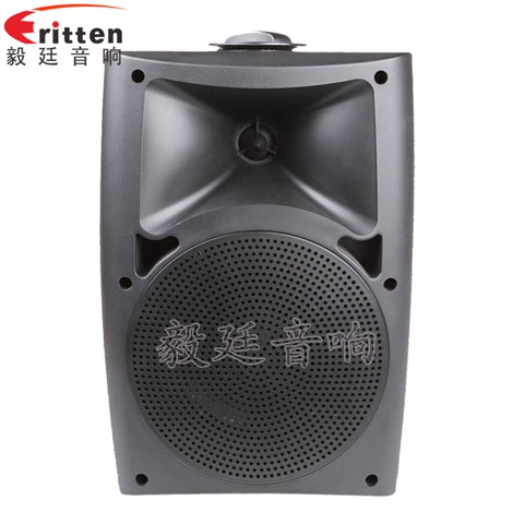 5.25寸墙壁音箱