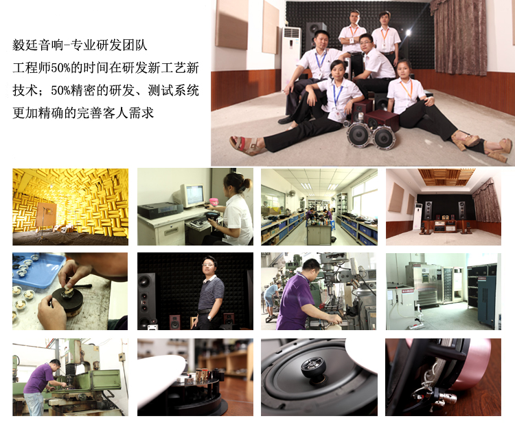 45mm全频蓝牙音箱喇叭研发团队