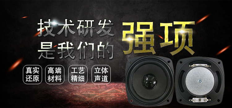 93mm13芯2W专业HiFi音箱喇叭