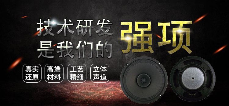 8寸 全纸盆3.4Ω稀土高强磁60W全频多媒体音箱喇叭