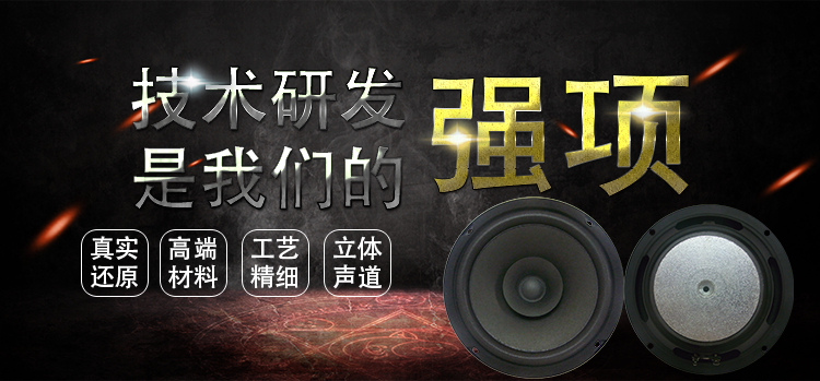 6.5寸（165mm）圆形外磁纸盆25芯30W中音多媒体音响喇叭